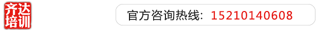 日我插我使劲操我视频齐达艺考文化课-艺术生文化课,艺术类文化课,艺考生文化课logo